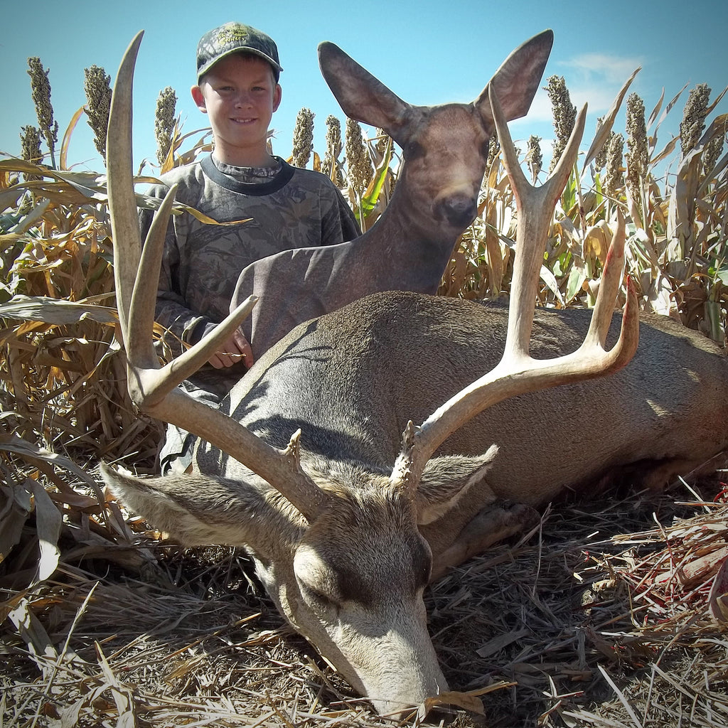 hunting big mule deer with a decoy