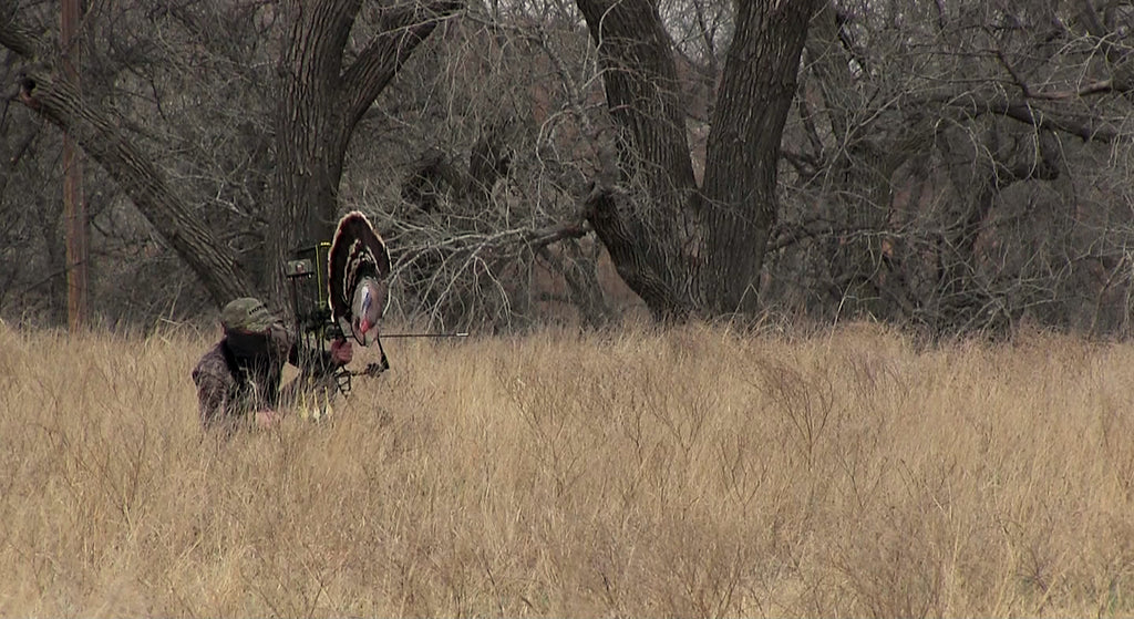 heads up decoy bow hunting turkeys