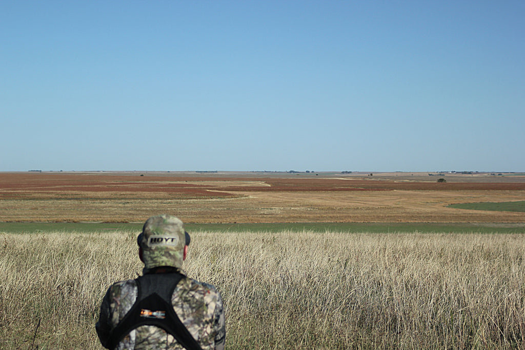 Glassing uncut crop ground for locating big bucks