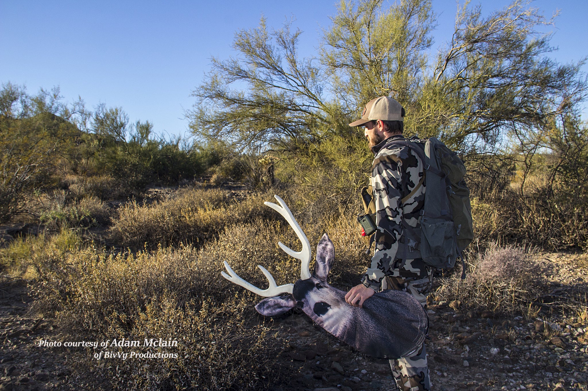 Hunting Desert Muledeer