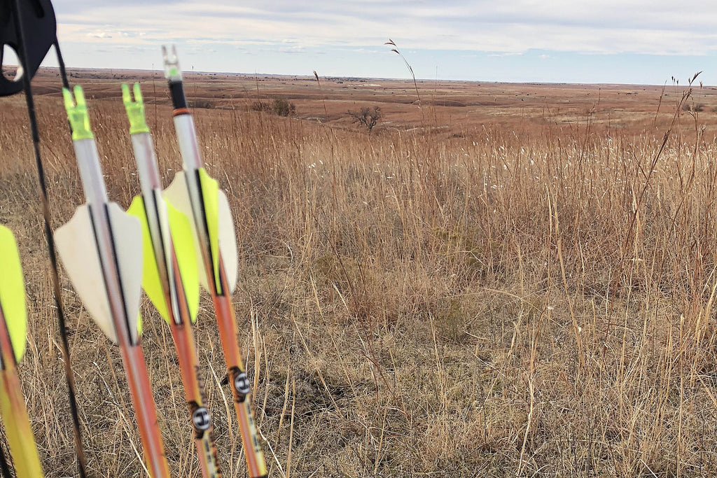 heads up decoy bowhunting whitetail from the ground