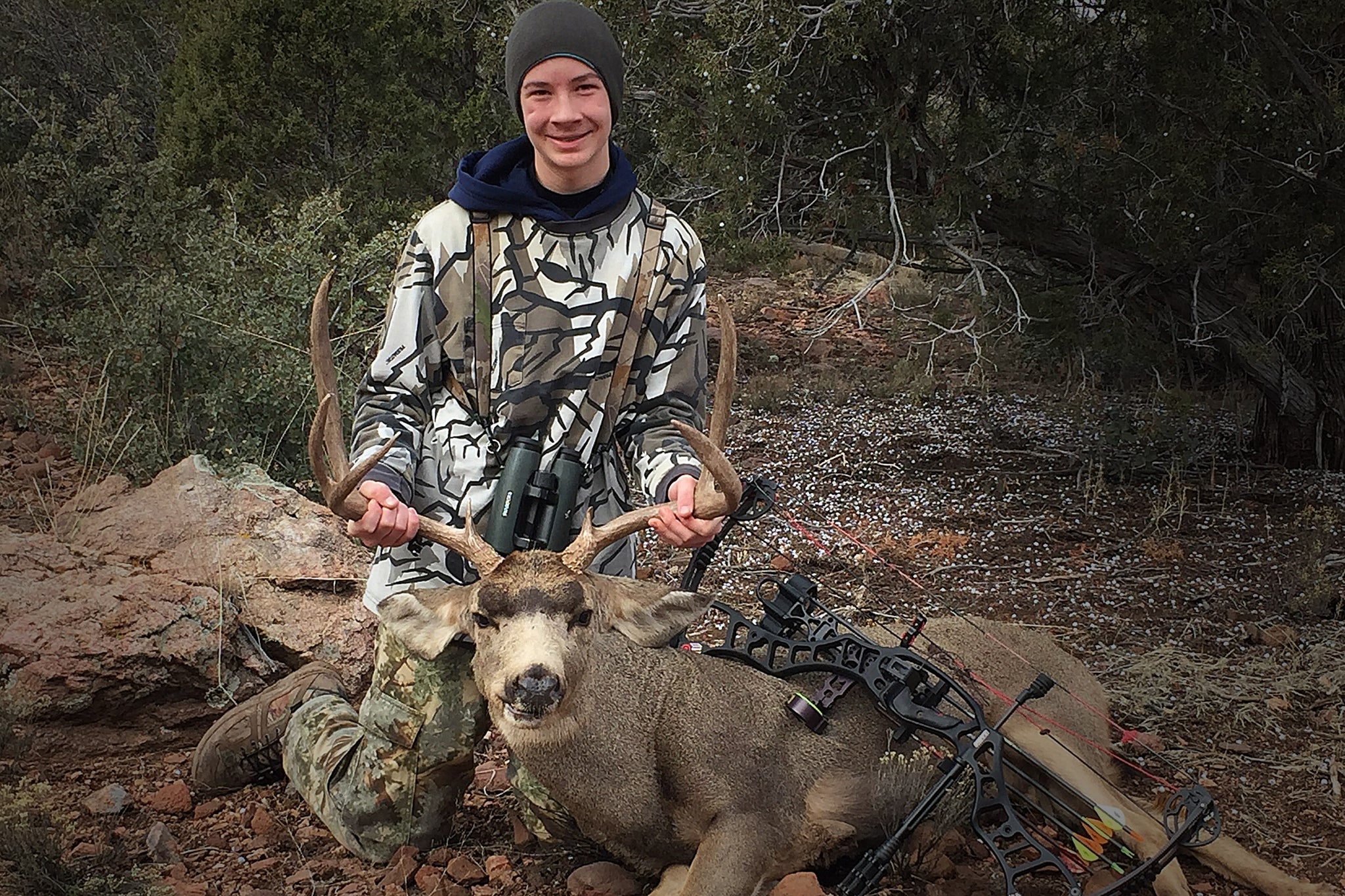 bowhunting the southwest for mule deer