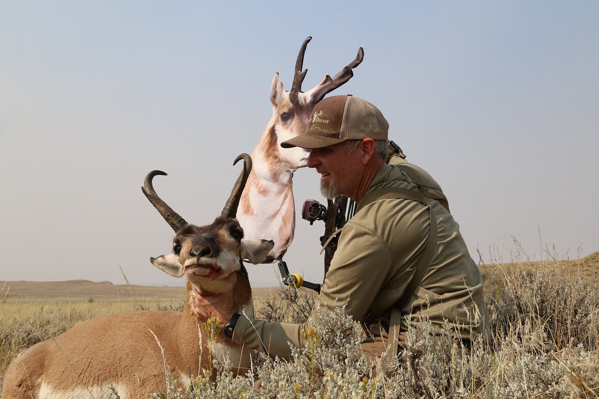 bow mountable antelope decoy