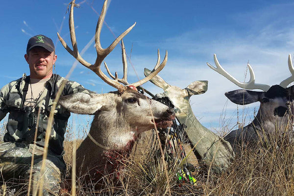 bow hunting mule deer with heads up decoy