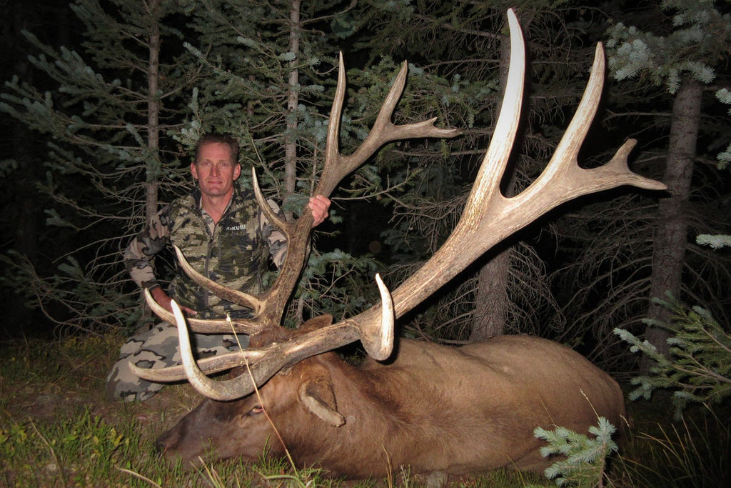 Bowhunting Herd Bull Elk