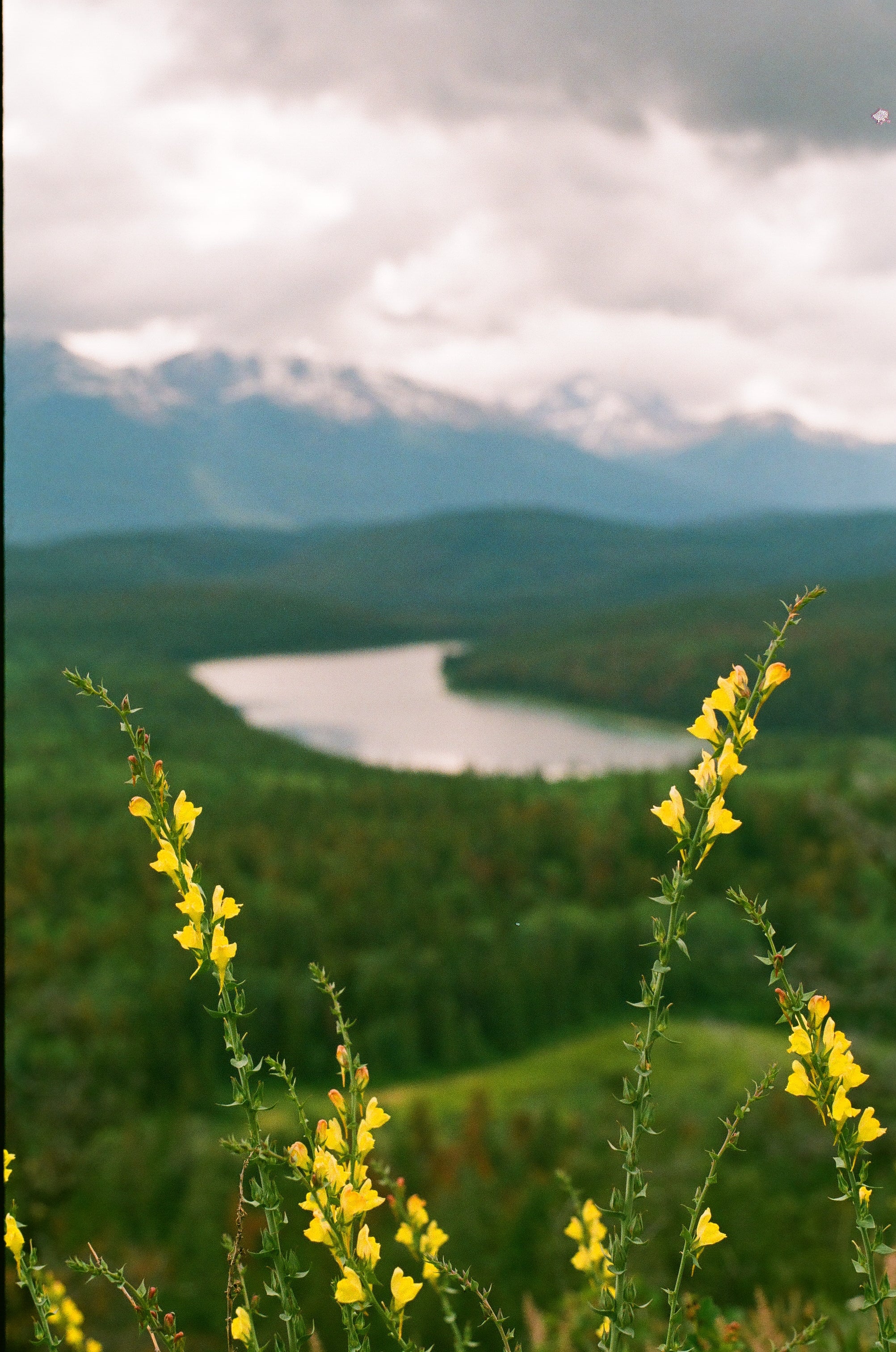 Pyramid Lake Overlook Hike Jasper National Park