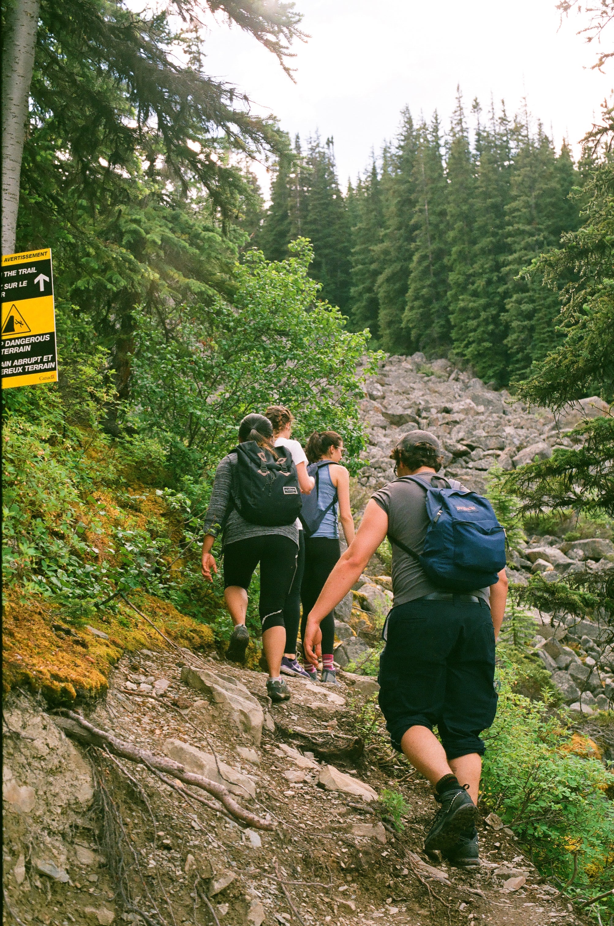 Whisters Mountain Hike Jasper Alberta