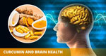 Curcumin and Brain health