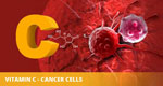 Vitamin C - Cancer cells