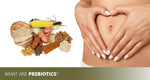 What are Prebiotics?