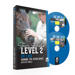 Savvy Series Level 2 On Line