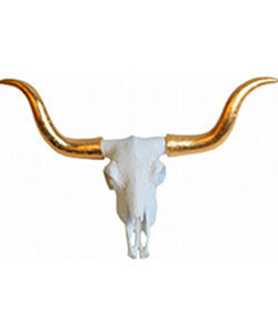 Longhorn Skull Wall Mount