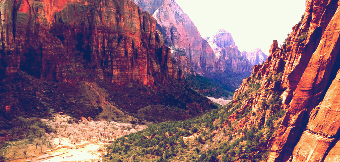 Zions National Park, Angels Landing Hiking Trail, Utah. Copyright 2013