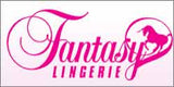 Fantasy Lingerie