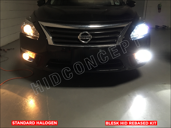 Standard Halogen Bulb VS Blesk HID Bulb