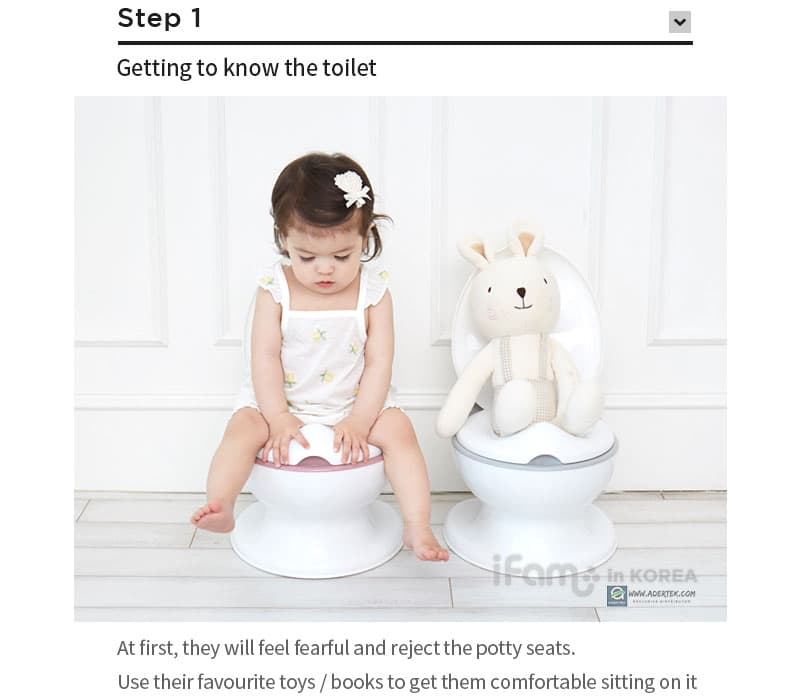 Step 1 - Introducing the potty seat to your toddler