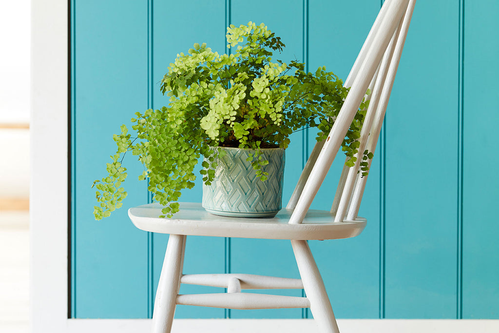 Indoor pots from Burgon & Ball will make Mum's day