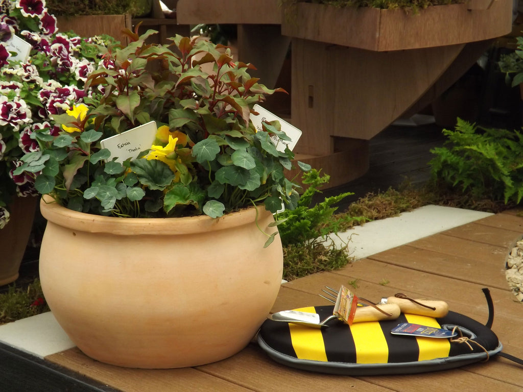 Our children's gardening kit in the container garden 