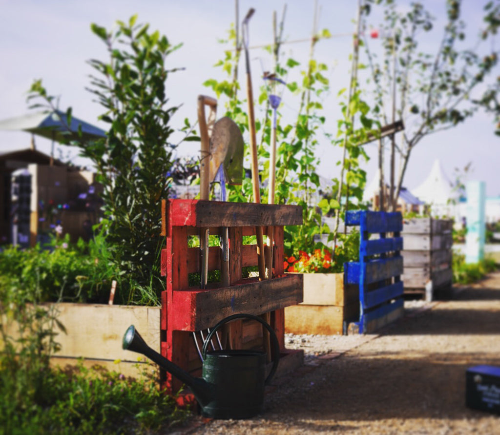An upcycled pallet makes a handy tool rack in Eds' community garden