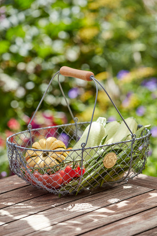 Sophie Conran harvesting baskets