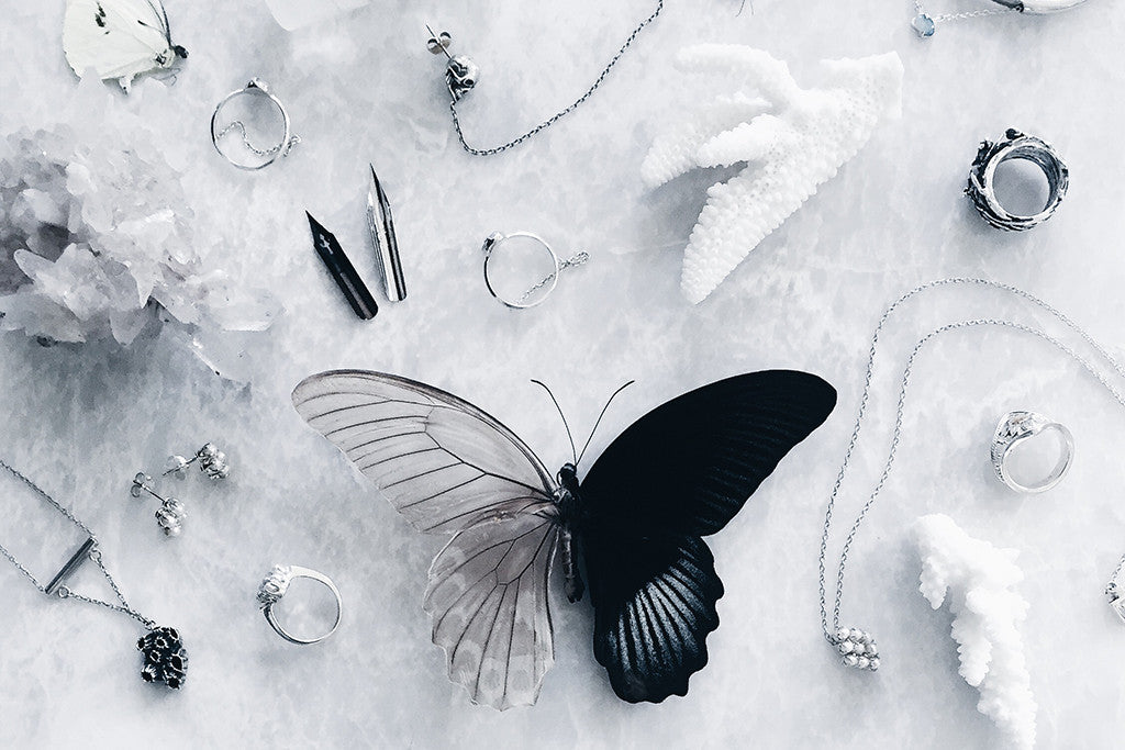 skeletal butterfly nestled amongst memento mori, curiosities and jewelry by Au Revoir Les Filles. Shows creative process and inspiration behind Jewelry designer