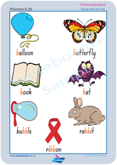 NSW Foundation Font Consonant Phoneme Posters for Tutors and Therapists with descriptive pictures