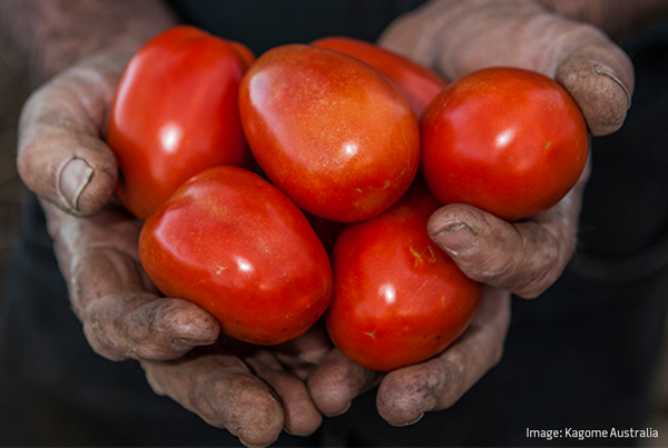 Dineamic | Kagome Tomatoes