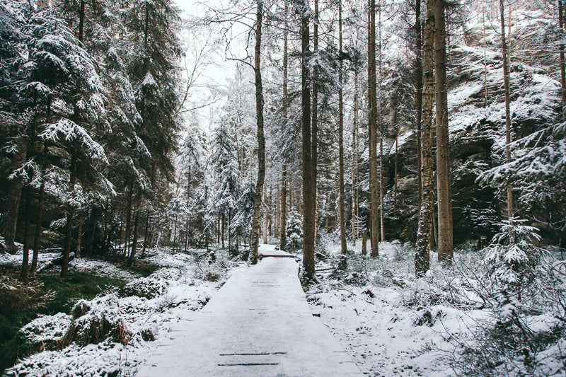 Travelling Basket Winter Adventure Adršpach