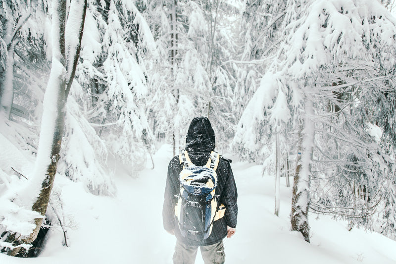 Travelling Basket Winter Adventure Karkonosze 