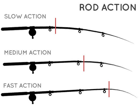 Fishing rod action comparison chart