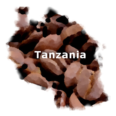 Tanzania Peaberry