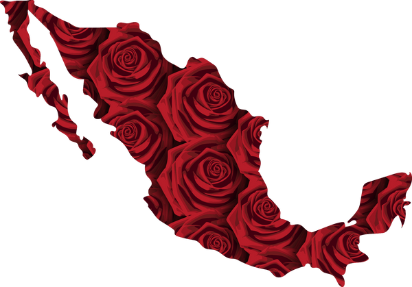 Envío de Flores a Todo México