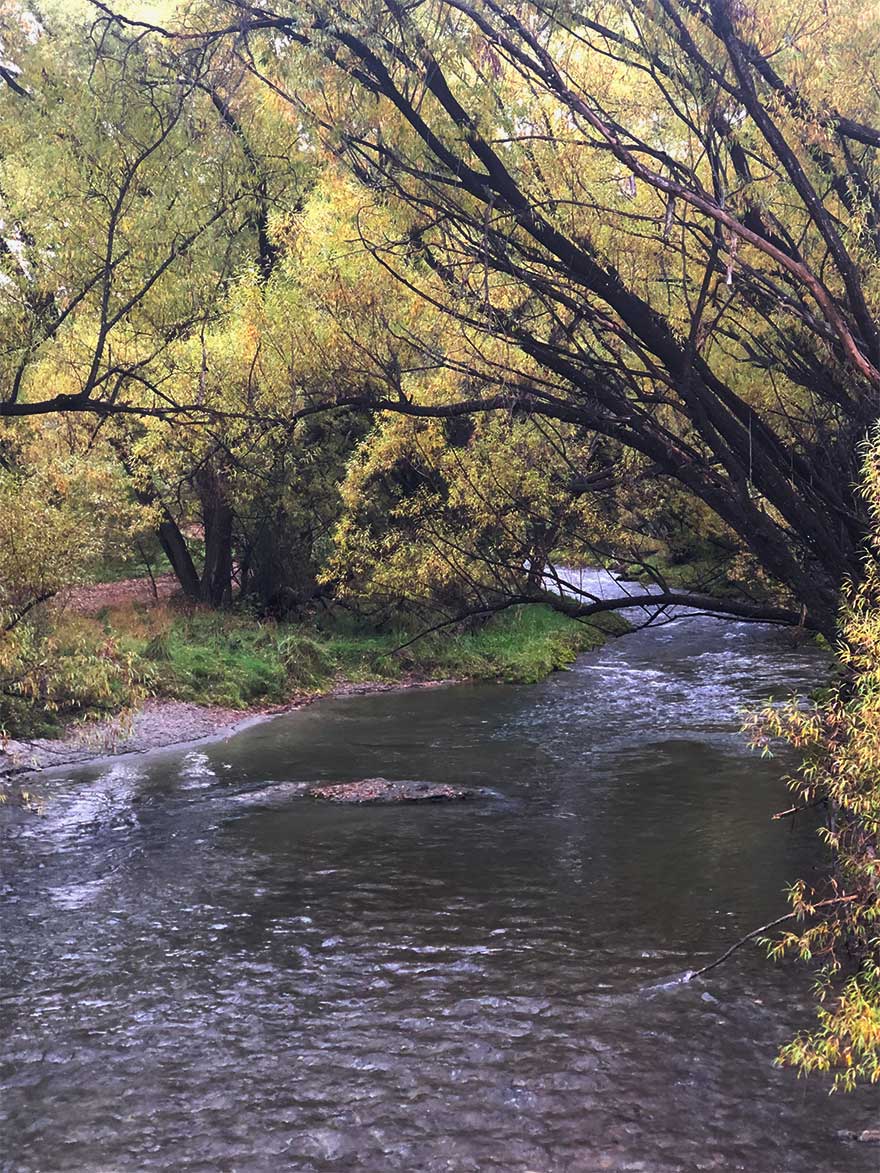 arrowtown river loop track