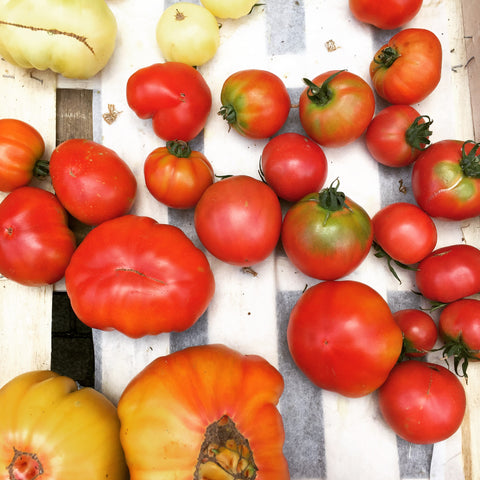 Tomates du marché. Crédit @jenniferbrun