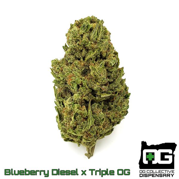Blueberry Diesel x Triple OG from Stoney Goat Farms