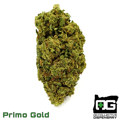 Primo Gold