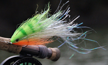 peacock bass fly gear