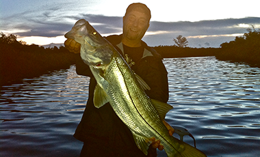 Snook, Nick Mayer on fly