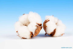 organic cotton is of better quality