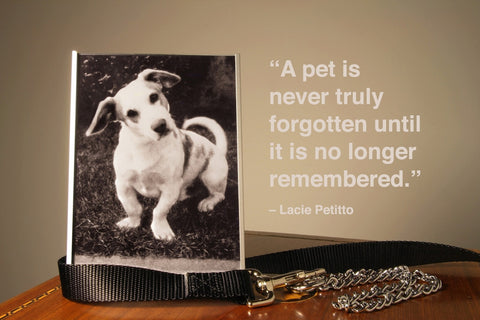 A pet is never truly forgotten until it is no longer remembered | Pet Loss | GoMine