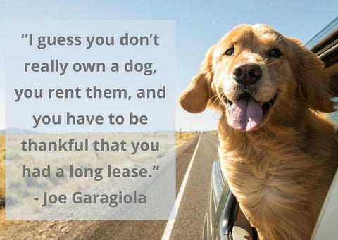 “I guess you don’t really own a dog, you rent them, and you have to be thankful that you had a long lease.”- Joe Garagiola | GoMine