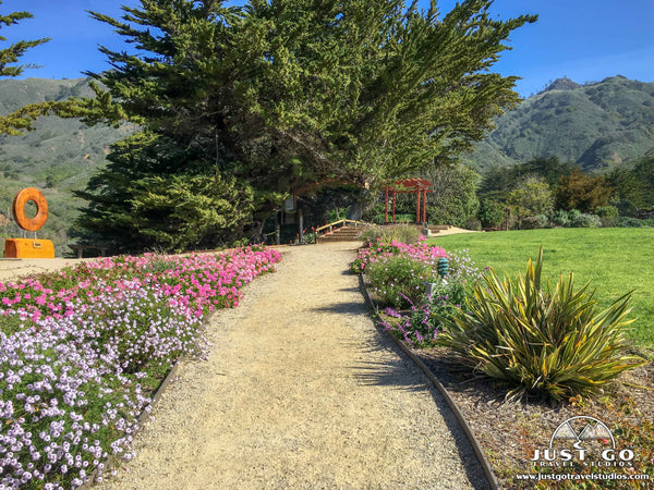 Gardens at Ragged Point in California