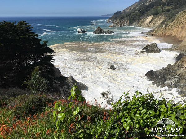 Julia Pfeifer Burns State Park in California