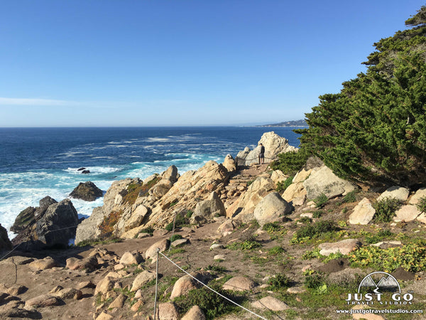 Point Lobos State Natural Reserve