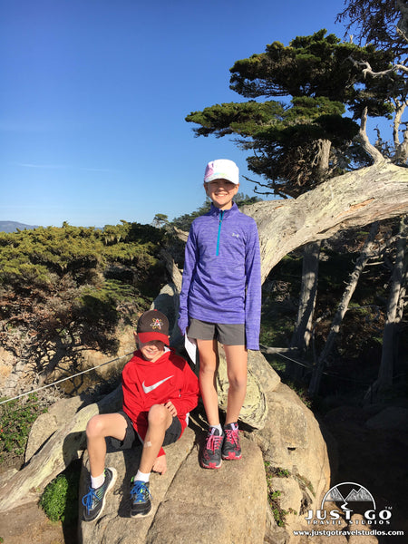 Point Lobos State Natural Reserve