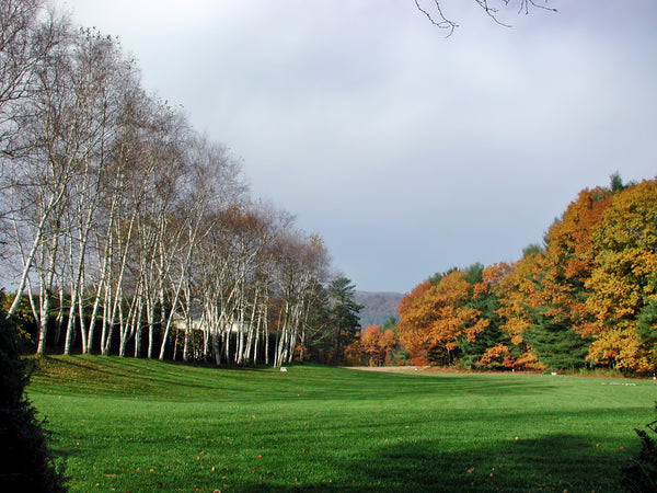 Saint Gaudens National Historical Park