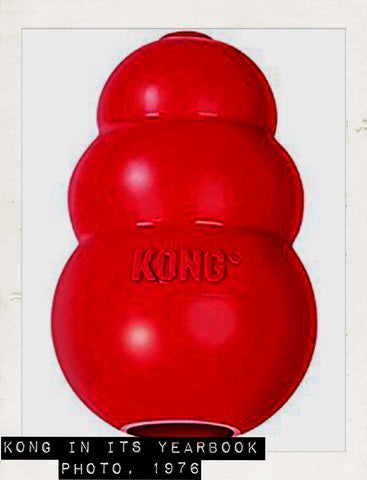 Kong toy