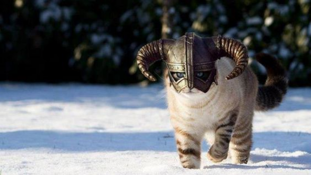 cat vikings jersey