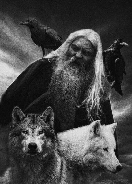 Odin's Wolves and Ravens 