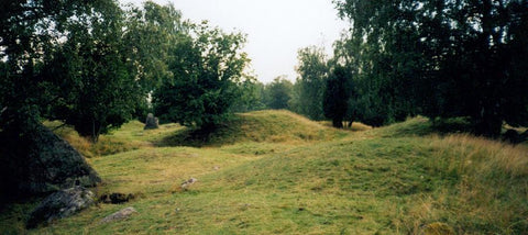 Burial mounds in Birka where is now a hot archaeological site for the Viking archaeologists